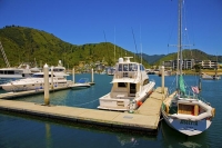 Picton;Marlborough_Sounds;Marlborough;bush;native_forrest;hills;mountains;Picton