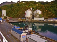 Picton;Marlborough_Sounds;Marlborough;Unloading_Fish_At_Picton;Unloading;Fish;Pi