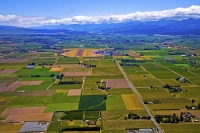 Woodburne_Airfield;Blenheim_Airport;Marleborough_Plains;vinyards;Blenheim_Vineya