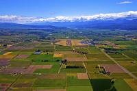 Aerial;Wairau_Plains_and_Coast;Marlborough;vineyards;braided_rivers;Wairau_River