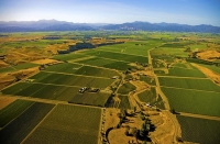 Aerial;Wairau_Plains_and_Coast;Marlborough;vineyards;braided_rivers;Wairau_River