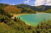 Wairau_Plains_and_Coast;Marlborough;vineyards;braided_rivers;Oyster_Bay;Port_Und