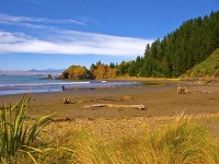 Wairau_Plains_and_Coast;Marlborough;vineyards;braided_rivers;white_bluffs;Whites