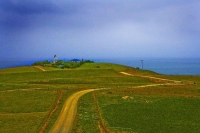 Moeraki;Otago;Yellow_Eyed_Penguins;Moeraki_Boulders;tourists