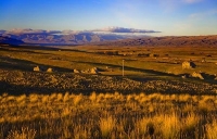 Naseby;Ranfurly_Region;Otago;Poolburn;Ida_Valley;parched_land;dry_grass;Raggedy_