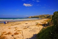Coast;Otago;Karitane;Seacliff;golden_sands;green_fields;green_paddocks;Rail_line