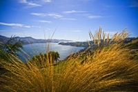 Otago_Peninsula;Otago;harbour;golden_sands;MacAndrew_Bay