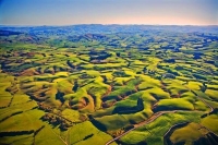 Aerial;Tapanui;Otago;sheep;sheep_country;sheep_farming;green_paddocks