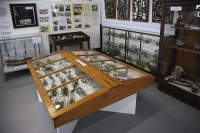 Nelson;Tasman_Bay;Founders_Park;historic_Buildings;Museum;Maritime_Museum;Ships_