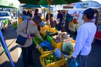Nelson;Tasman_Bay;Market;stalls_plants;flowers;toys;wood_turning;crowds;shoppers
