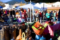 Nelson;Tasman_Bay;Market;stalls_plants;flowers;toys;wood_turning;crowds;shoppers