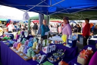 Nelson;Tasman_Bay;Market;stalls_plants;flowers;toys;wood_turning;crowds;shoppers