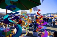 Nelson;Tasman_Bay;Market;stalls_plants;flowers;toys;wood_turning;crowds;shoppers