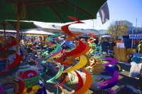 Nelson;Tasman_Bay;Market;stalls_plants;flowers;toys;wood_turning;crowds;shoppers