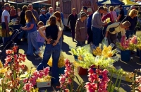 Nelson;Tasman_Bay;Market;stalls_plants;flowers;toys;wood_turning;crowds;shoppers