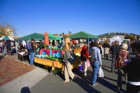 Nelson;Tasman_Bay;Market;stalls_plants;flowers;toys;wood_turning;crowds;shoppers