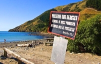 Cable_Bay;Peppin_Island;Tasman_Bay;sand_dunes;sandy_beaches;rocky_shorelines;bea