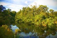 Haast_to_Hokitika;West_Coast;mountains;valleys;river;Tasman_Sea;State_highway_6;