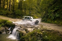 4X4fording_creek;Bush;creek;Buller_Region;lichen;moss;flowing_water;stream