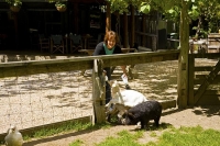 Takaka;Golden_Bay;Bencarri_Nature_Park;hills;rivers;Road;bush;native_forrest;gre