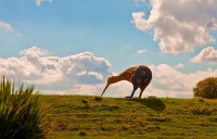 Otorohanga;Waikato;agricultural;Dairy;Dairy_industry;Waipa_river;Mangapu_river;t