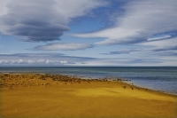 Golden_Bay_Coast;Golden_Bay;Milnthorpe_Beach;River;sandy_beaches;rocky_shoreline