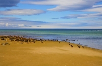 Golden_Bay_Coast;Golden_Bay;Milnthorpe_Beach;River;sandy_beaches;rocky_shoreline