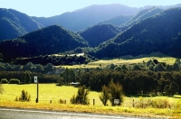 Native_Bush;Buller_region;Bush;Fish_and_game;Maruia_River