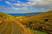 The_Catlins;Southland;hills;rivers;Road;bush;native_forrest;green_fields;green_p