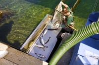 Takaka;Golden_Bay;Anatoki_Salmon_Farm;hills;rivers;Road;bush;native_forrest;gree