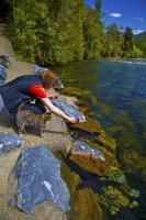 Takaka;Golden_Bay;Bencarri_Nature_Park;hills;rivers;Road;bush;native_forrest;gre