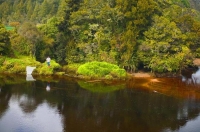 Cape_Foulwind;West_Coast;cliffs;bluffs;White_Baiter;Nile_River