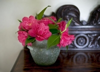 Camelias;vase