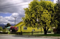 Aerial;Murchison;Buller_Region;highway6;Dairy_farm;dairy_farming;green_fields;Ye