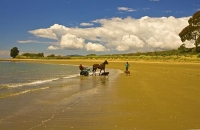Golden_Bay_Coast;Golden_Bay;Patons_Rock_Beach;River;sandy_beaches;rocky_shorelin