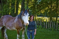 Takaka;Golden_Bay;Bencarri_Nature_Park;hills;rivers;Road;bush;native_forrest;gre
