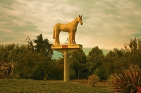 Aerial;Timaru;South_Canterbury;Canterbury;Phar_Lap;old_statue;Phar_Lap;old_statu