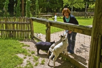 Takaka;Golden_Bay;Bencarri_Nature_Park;hills;rivers;Road;bush;native_forrest;gre