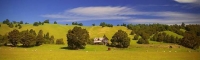 Wakefield;Tasman_Bay;Dilapidated_farm_house;sheep_paddock