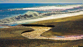 Assorted River Images